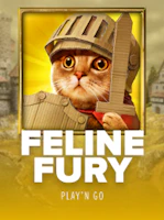Feline Fury