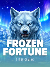 FROZEN FORTUNE