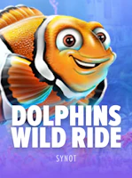 Dolphin's Wild Ride