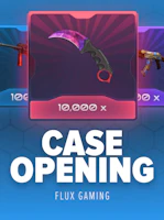 CASE OPENING