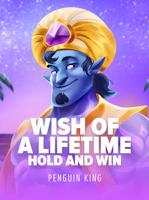 Wish of a Lifetime: Hold and Win