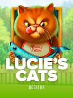 Lucies cats