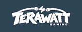 game_kurator_group.terawatt_gaming