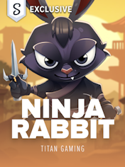 Ninja Rabbit