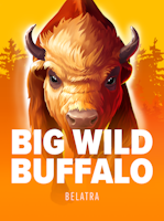 Big Wild Buffalo