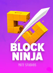 BLOCK NINJA