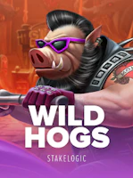Wild Hogs
