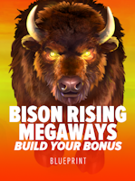 Bison Rising Build A Bonus