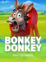 Bonkey Donkey