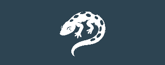 Salamander