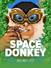 Space Donkey