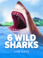 6 WILD SHARKS