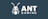 Ant Gaming
