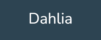 Dahlia