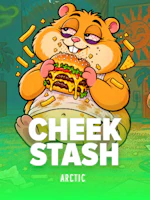 CHEEK STASH