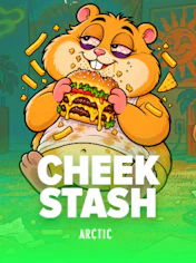 CHEEK STASH