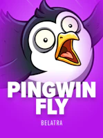PingWin Fly