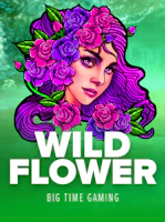 Wild Flower