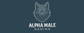 game_kurator_group.alpha_male_gaming