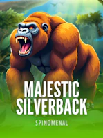 Majestic Silverback