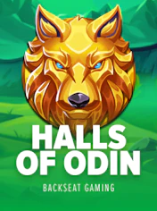 Halls of Odin