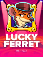 Lucky Ferret