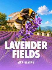 Lavender Fields