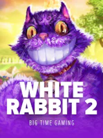 White Rabbit 2