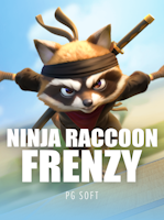 Ninja Raccoon Frenzy