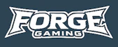 game_kurator_group.forge_gaming