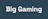 Big Gaming