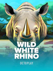 Wild White Rhino