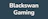Blackswan Gaming