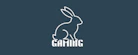 Rabbit Gaming 