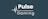 Pulse Gaming