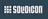 Solidicon