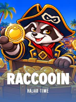 Raccooin